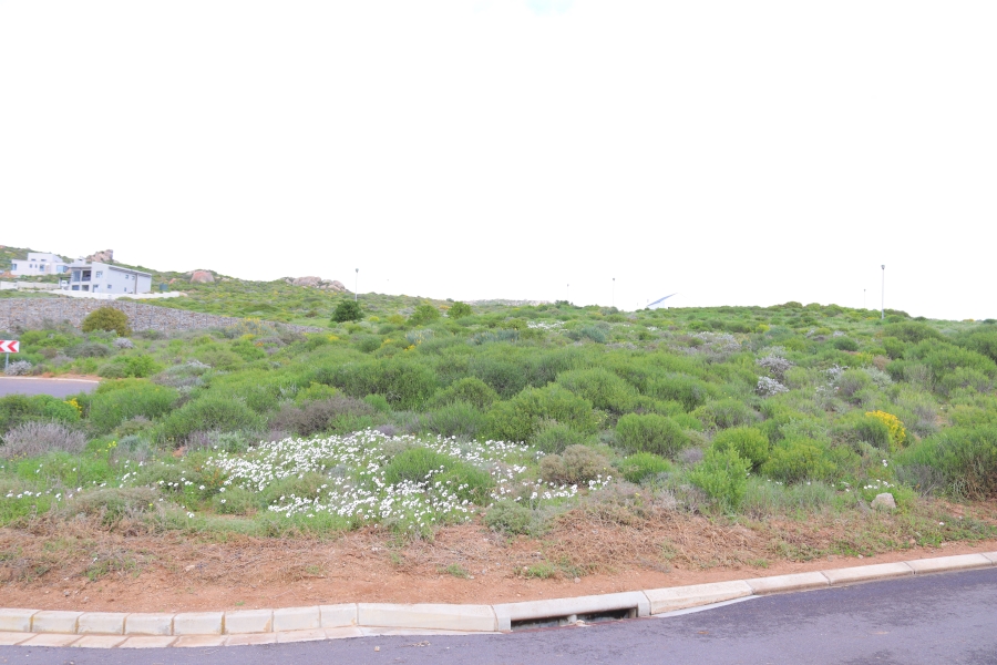 0 Bedroom Property for Sale in Steenbergs Cove Western Cape